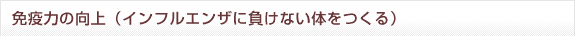 免疫力の向上（インフルエンザに負けない体をつくる）