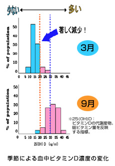 季節による血中ビタミンD濃度の変化