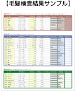 毛髪検査結果サンプル