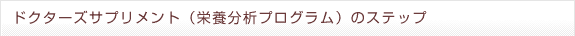 ドクターズサプリメント（栄養分析プログラム）のステップ