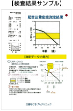 骨粗しょう症（骨折）リスク診断セット検査 結果サンプル