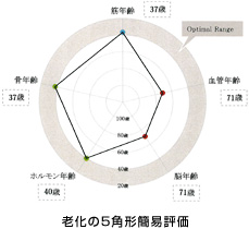 老化度の5角形簡易評価