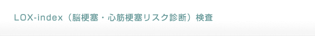 ロックス・インデックス（脳梗塞・心筋梗塞リスク診断）検査